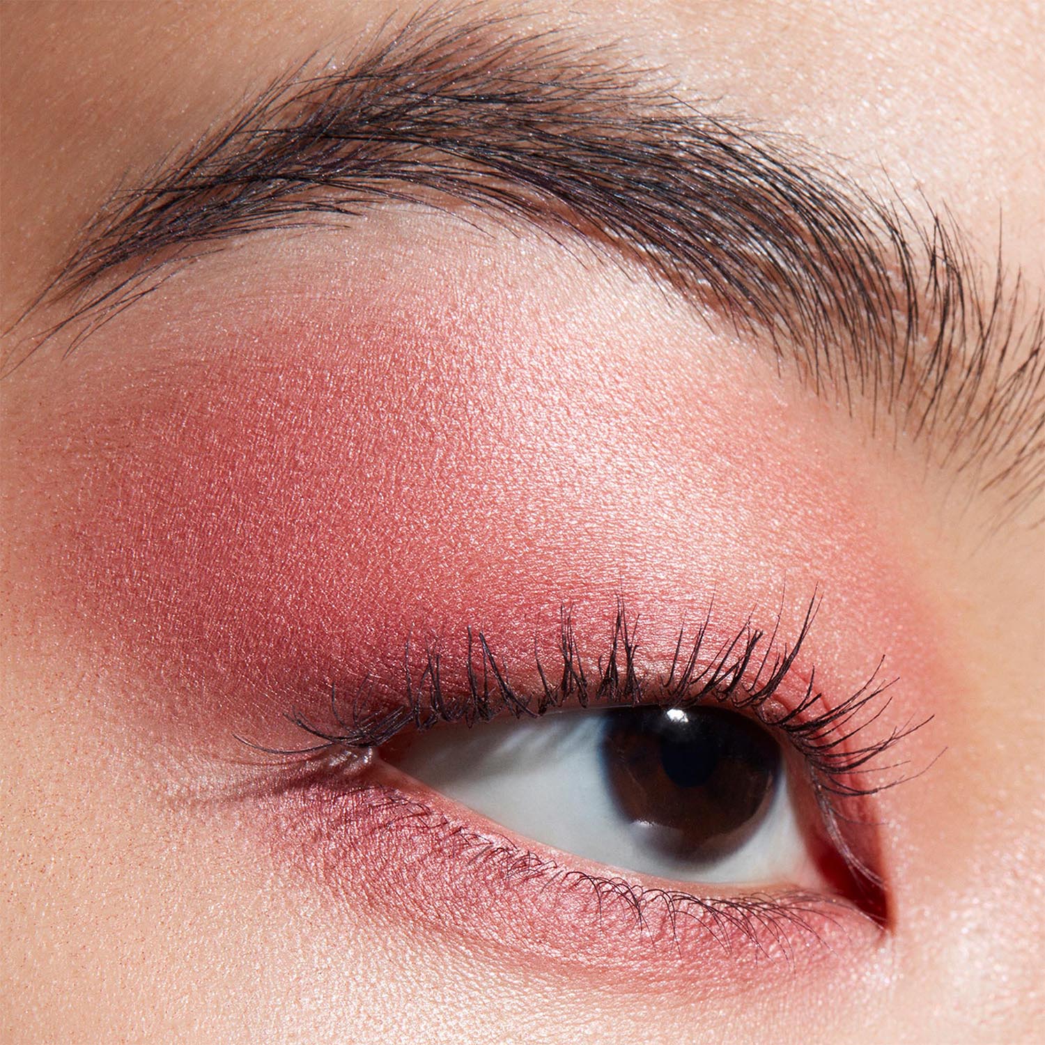 Connect In Colour Eye Shadow Palette: Rose Lens